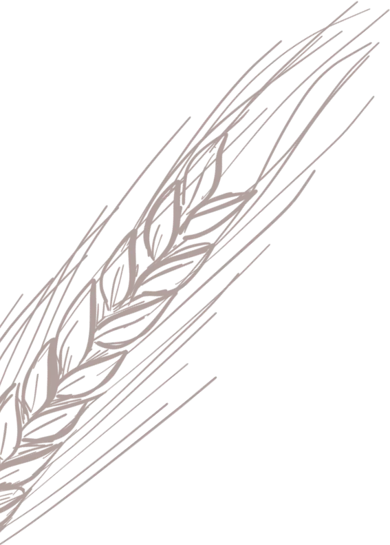 Blé