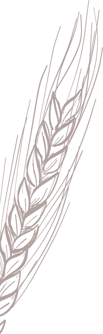 Blé